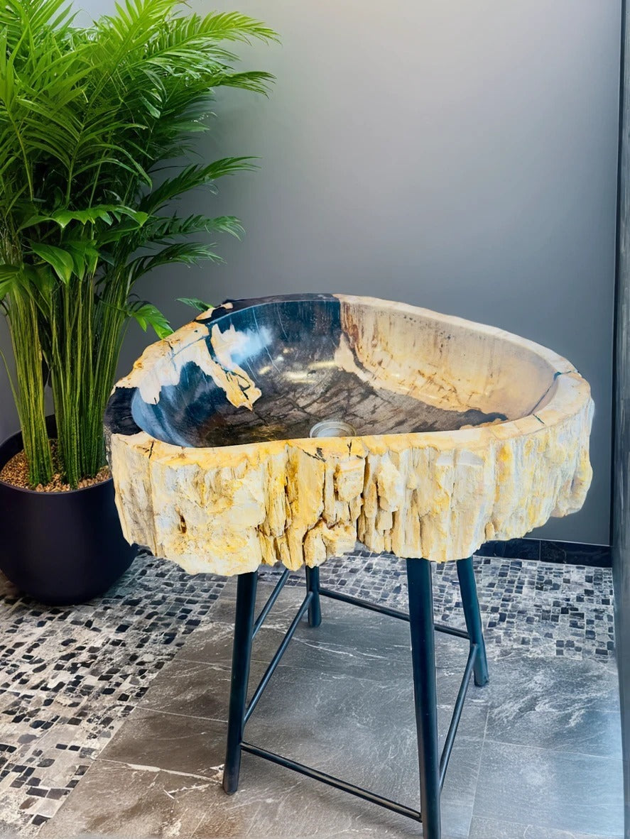 PETRIFIED WOOD WASH BASIN